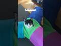 CUTE Tuxedo Cat MONSTER