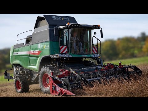 Fendt Mähdrescher 5275 C PL und Fendt 942 Vario mit Krampe Big Body 640 im Einsatz