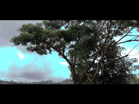 karen hip hop song 2020 tae tae