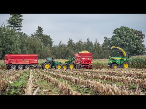 Mais 2023 / John Deere 8800i / Agrarservice Vögeding / Maize silage
