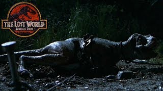 The Truth About How the Baby T-Rex Broke it's Leg - Mommy's Very Angry - Infant Tyrannosaurus