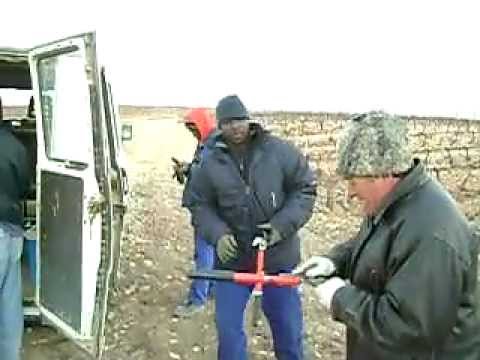 FOLESTI ONEL SI NEGRII