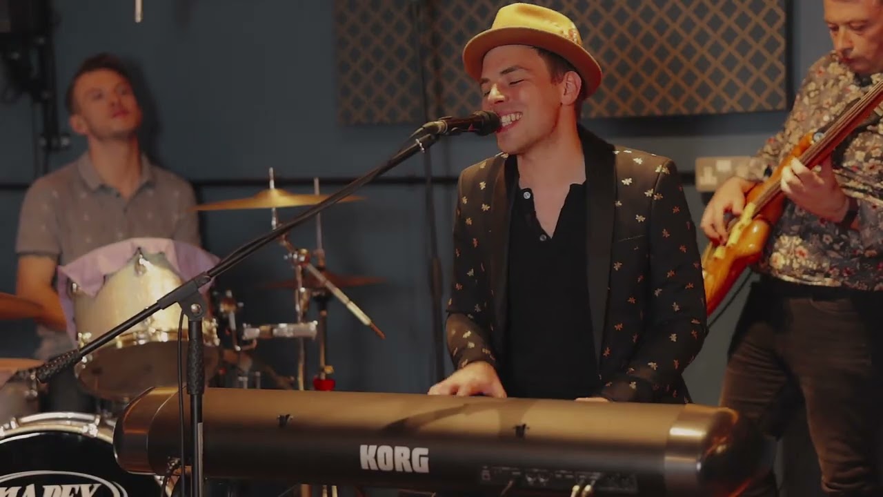 Tipitina – Alligator Cats