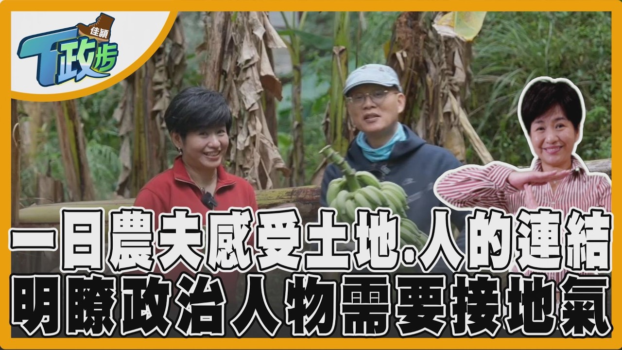 佳穎T政步/砍芭蕉的那三十刀 政治和下田一樣,有些步驟不能省