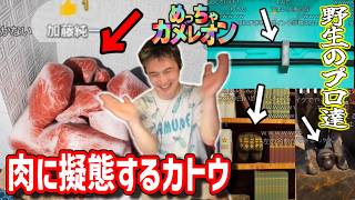 プロ達を参考にして肉に擬態した加藤純一【2026/06/23】