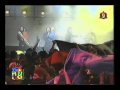 LOS DELFINES- EL BAILE DEL PIMPOLLO-FELIZ ...
