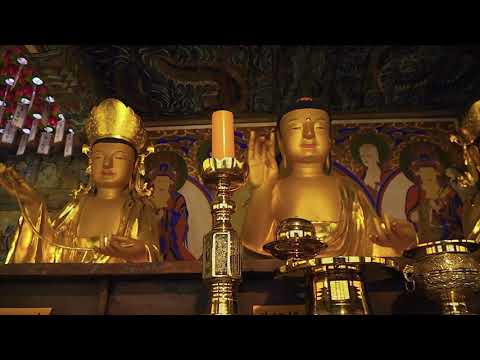 봉정사 미리보기 사진