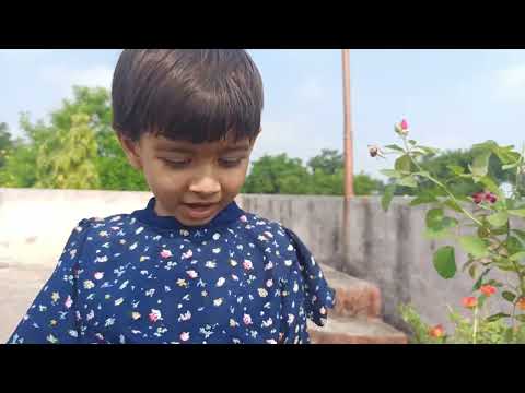 Jiddi  Jinal Mazya Barobr Kuthe Aali