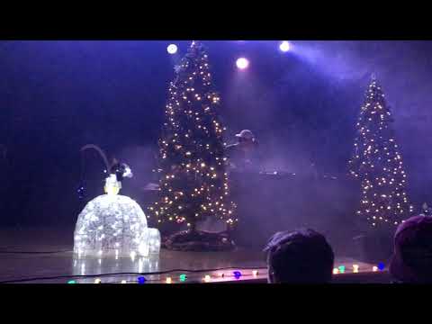 Does A Bear SHiZ in the Woods - GRiZmas 2018 pt. 1