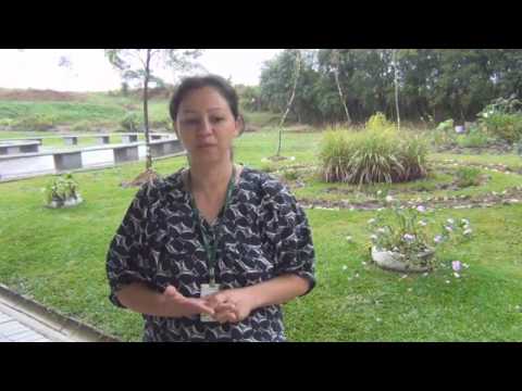 5 anos do IFPR Campus Irati