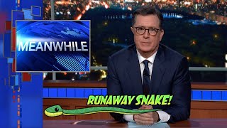Meanwhile... Runaway Snake