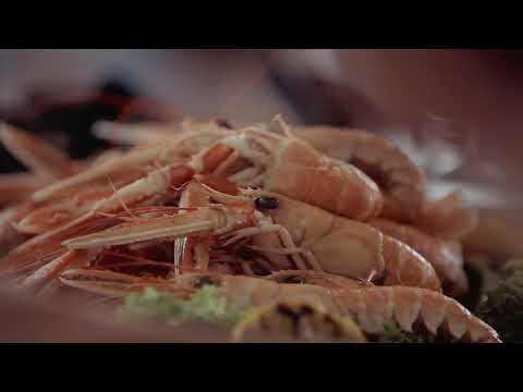 Eine essbare Insel? Warum nicht? | Salz, Seetang & Jomfruhummer auf Læsø  | Der Geschmack Dänemarks