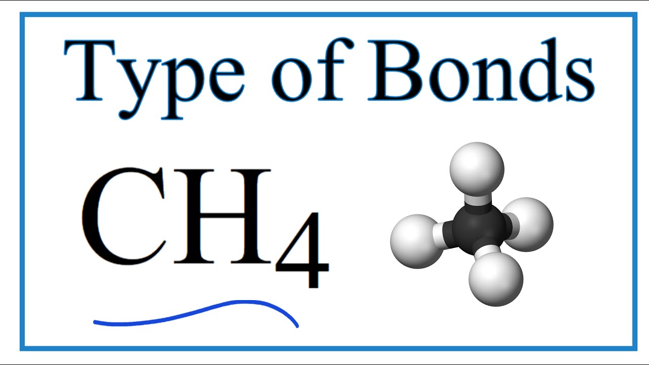 What is the type of bond of methane? Knowligent
