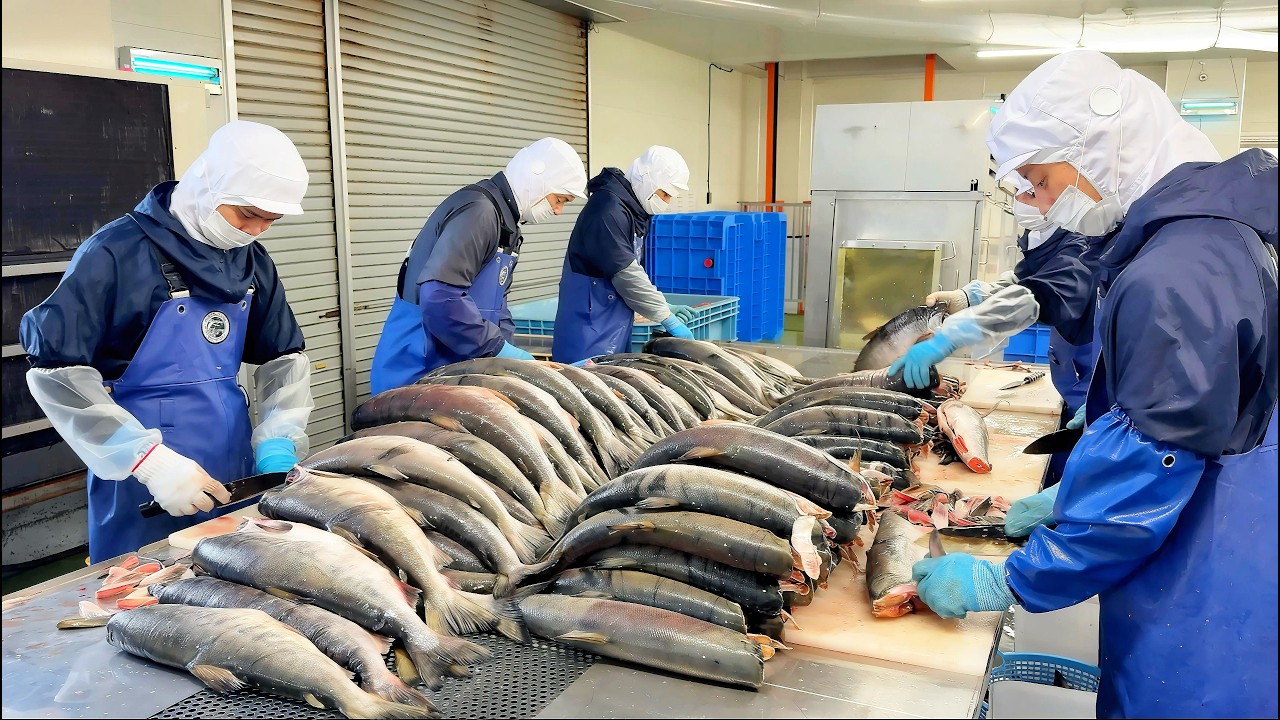 【北海道】１日１トン以上捌く鮭とば工場…２日漬け×二段乾燥で旨味がバグってた