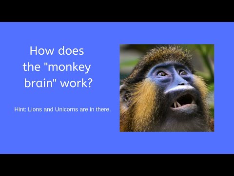 How does the Monkey Brain work?