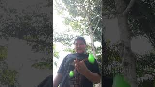 Download lagu minimal teman jago main lato lato mp3 Download lagu minimal teman jago main lato lato mp3