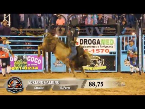 Rodeio de Herculândia 2015 - MELHORES MONTARIAS / SEXTA FEIRA