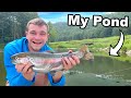 Stocking Rainbow Trout In My Pond But Can They Survive