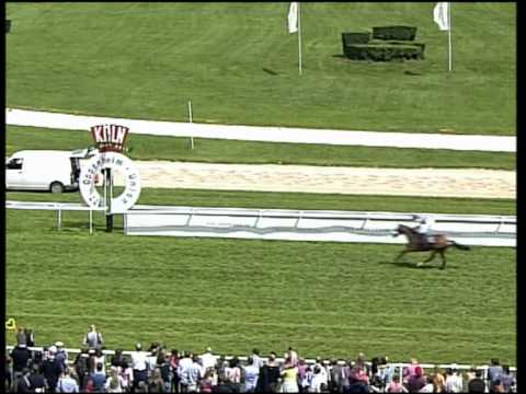 Köln, Dai Jin-Rennen, 10.6.2012 - Sieger: Traumprinz