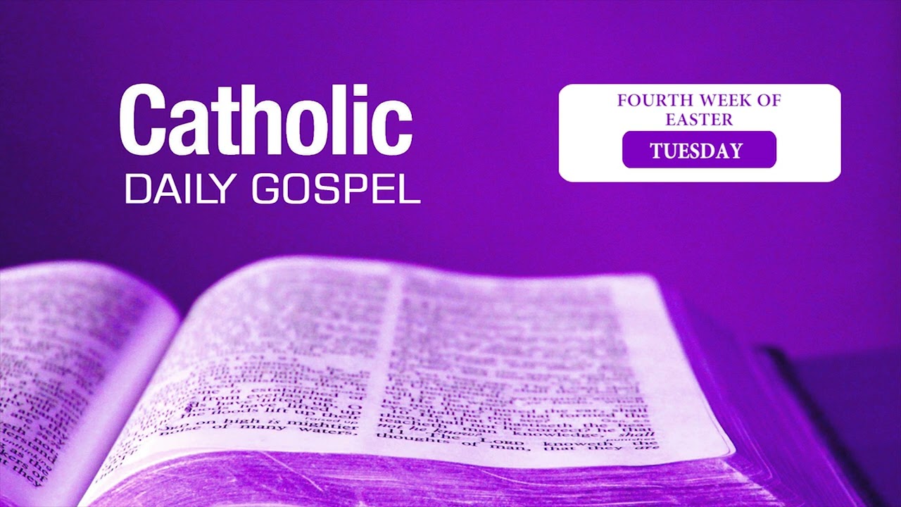 Daily Bible Reading Tuesday of the Fourth Week of Easter 28-04-2026| English | John 10:22-30