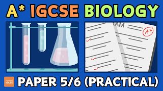 IGCSE Biology - How to get an A* in papers 5 and 6 (practical/alternative to practical)