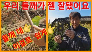 고추대,들깨 참깨,콩 쉽게 자르는방법 들깨수확시기 예초기날 혼다 예초기 전원일기 주만농장 텃밭 주말농장 텃밭…