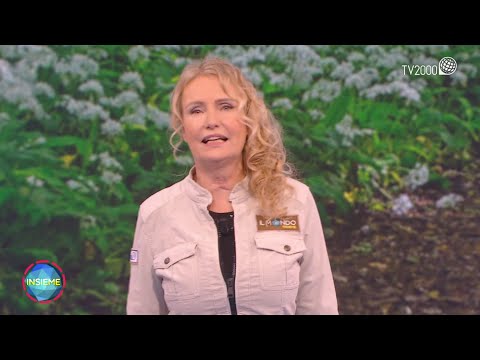 Il mondo insieme, 17 aprile 2022