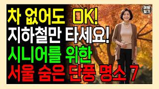 이번 가을 단풍은 서울 지하철 타고! 시니어도 쉽게 가는 단풍 명소 7곳.