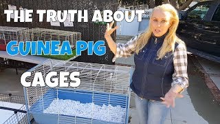 How Much Cage Space do Guinea Pigs Really Need?
