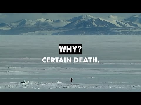 WHY 🌿🍃 PENGUIN🐧Nature - Deranged Penguin Edit 