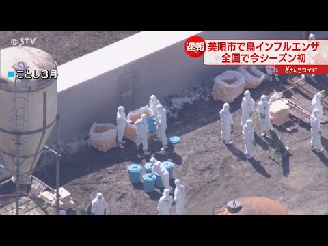 鳥の死骸がドローンに?研究者らは疑わしいプロトタイプを発表