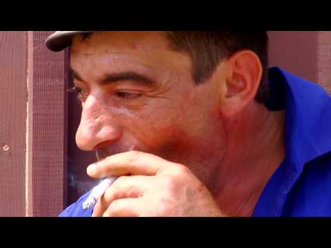 "Fata Morgana" by Cseke Eszter / Aristoteles Workshop #3 - 2008