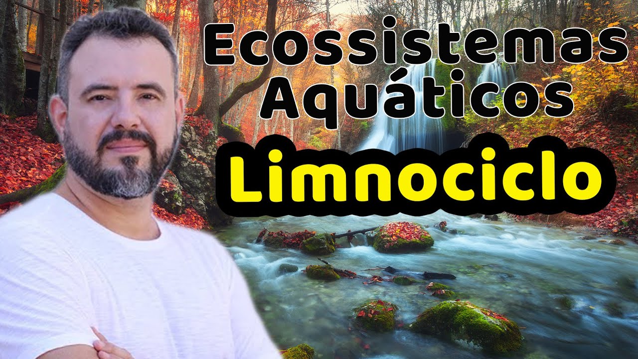 ECOLOGIA | Ecossistemas Aquáticos - Limnociclo | LAGOS, LAGOAS E RIOS | Prof. Daniel #enem #biologia