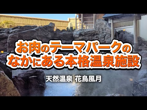 クーポンあり 天然温泉 花鳥風月 日高 埼玉 ニフティ温泉