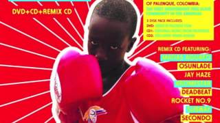 Destápame la Botella (Matias Aguayo Remix) - Currambero de Gamero