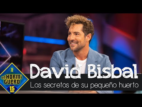 David Bisbal cuenta los secretos de su pequeño huerto: "Me gusta cultivar" - El Hormiguero