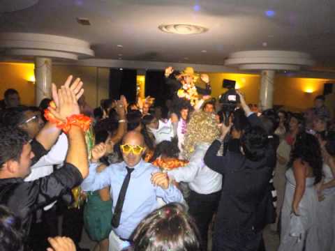 Musica e Animazione per Matrimoni - i momenti più belli del 2014 - Francesco Barattucci