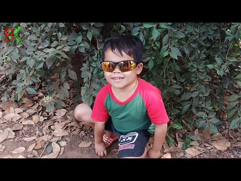 irfan-pengen-nyoblos-pemilihan-rt