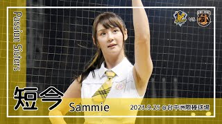 【台湾チア】短今 Sammie / Passion Sisters / 2023.9.25 陳子豪,許基宏,江坤宇 應援曲 + 飛向黃潮 [中文歌詞]