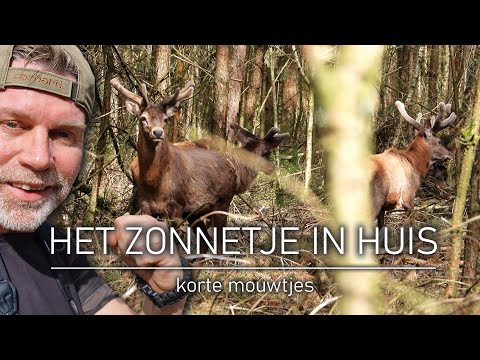 NATUURLIJK OP PAD #59 -  HET ZONNETJE IN HUIS