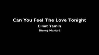 Can You Feel The Love Tonight - Elliot Yamin (30s)