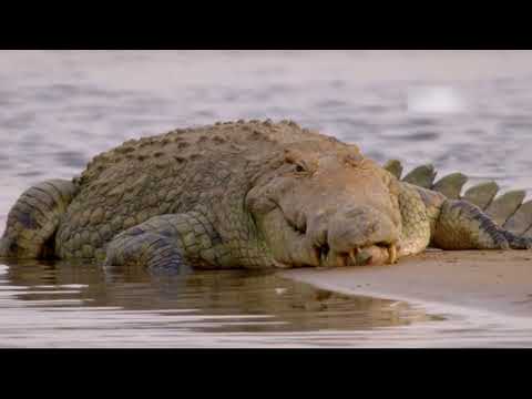 A Grande Seca - A Vida Na Fornalha
