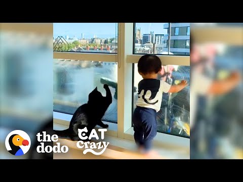 Teasing the Window Cleaners - Hilarious and Adorable!