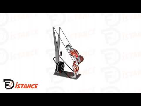 SkiErg - Exercice SkiErg en vidéo