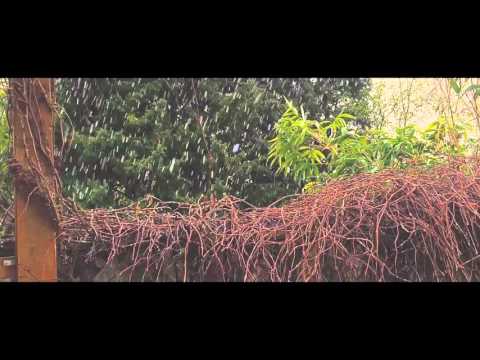 iPhone 6 video test - Snow