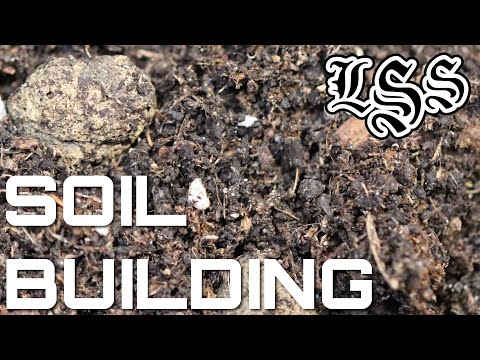 Building organic soil for any plant