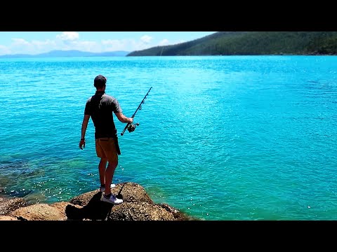 Monster Cod!!! | Fishing Tropical Islands with Dennis Verreet Part 2