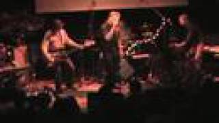 Triffids - Life of Crime