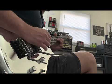 Ibanez Joe Satriani JS1CR-Chrome Boy and EVH