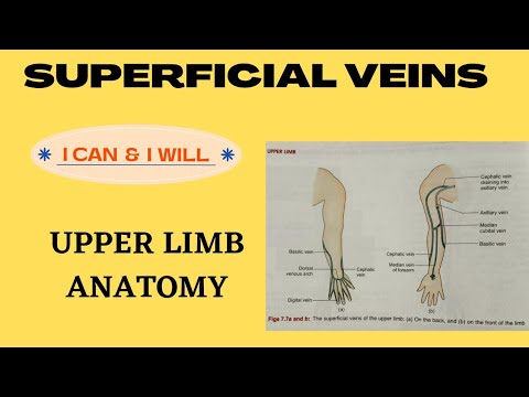 SUPERFICIAL VEINS OF UPPER LIMB || ANATOMY || MED LIFE💉💊